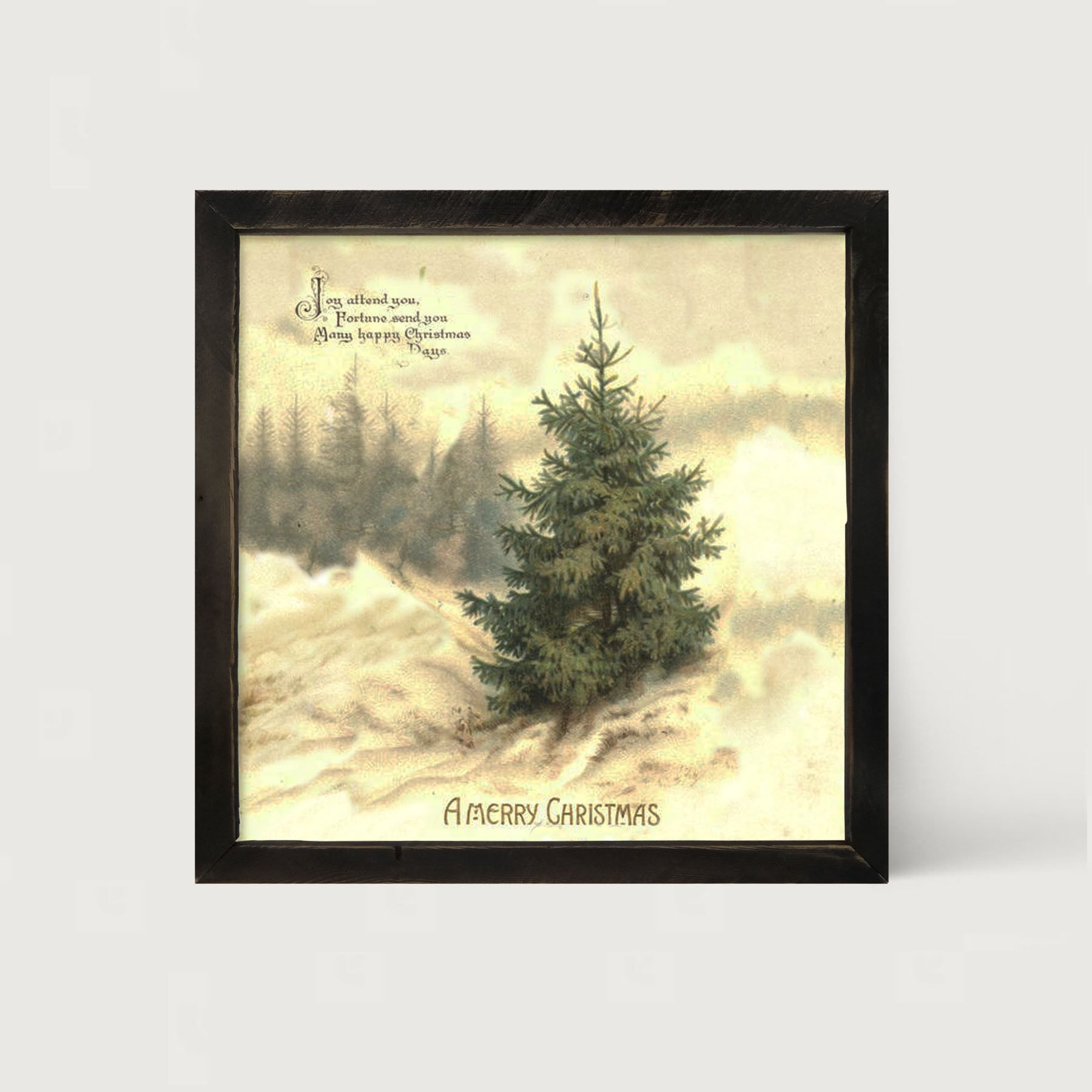 Winter Tree (Joy Attend You) - Framed art