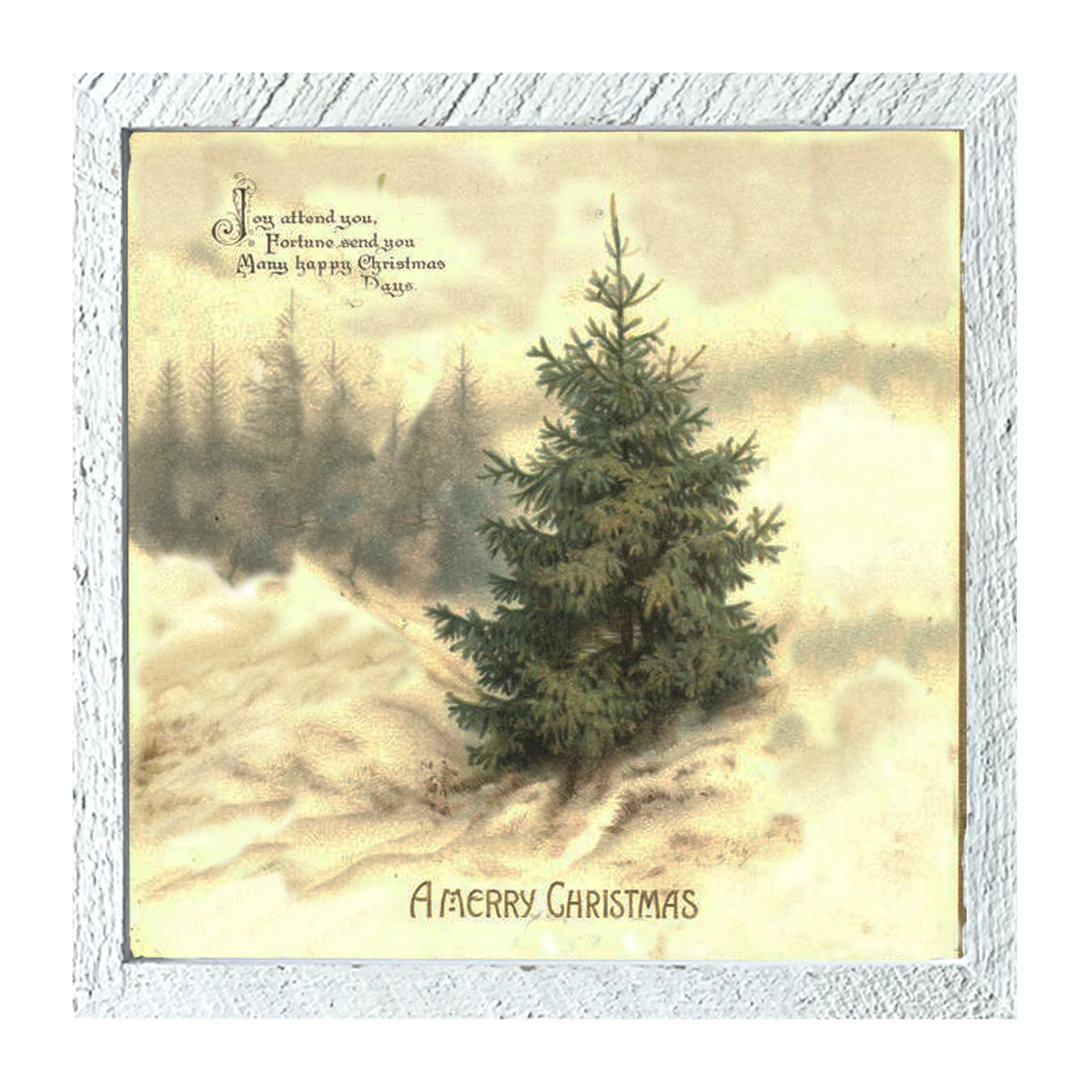 Winter Tree (Joy Attend You) - Framed art