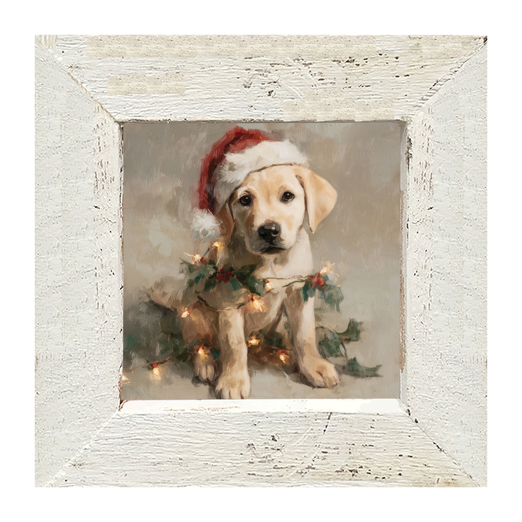 Christmas Lights with Labrador - Framed art