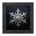 Framed Art