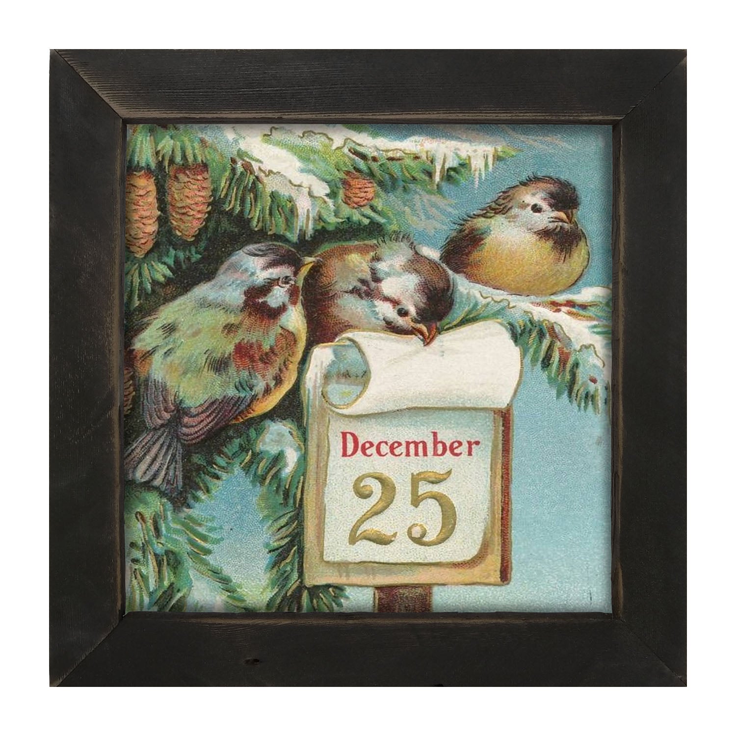 Dec 25 Birds - Framed art