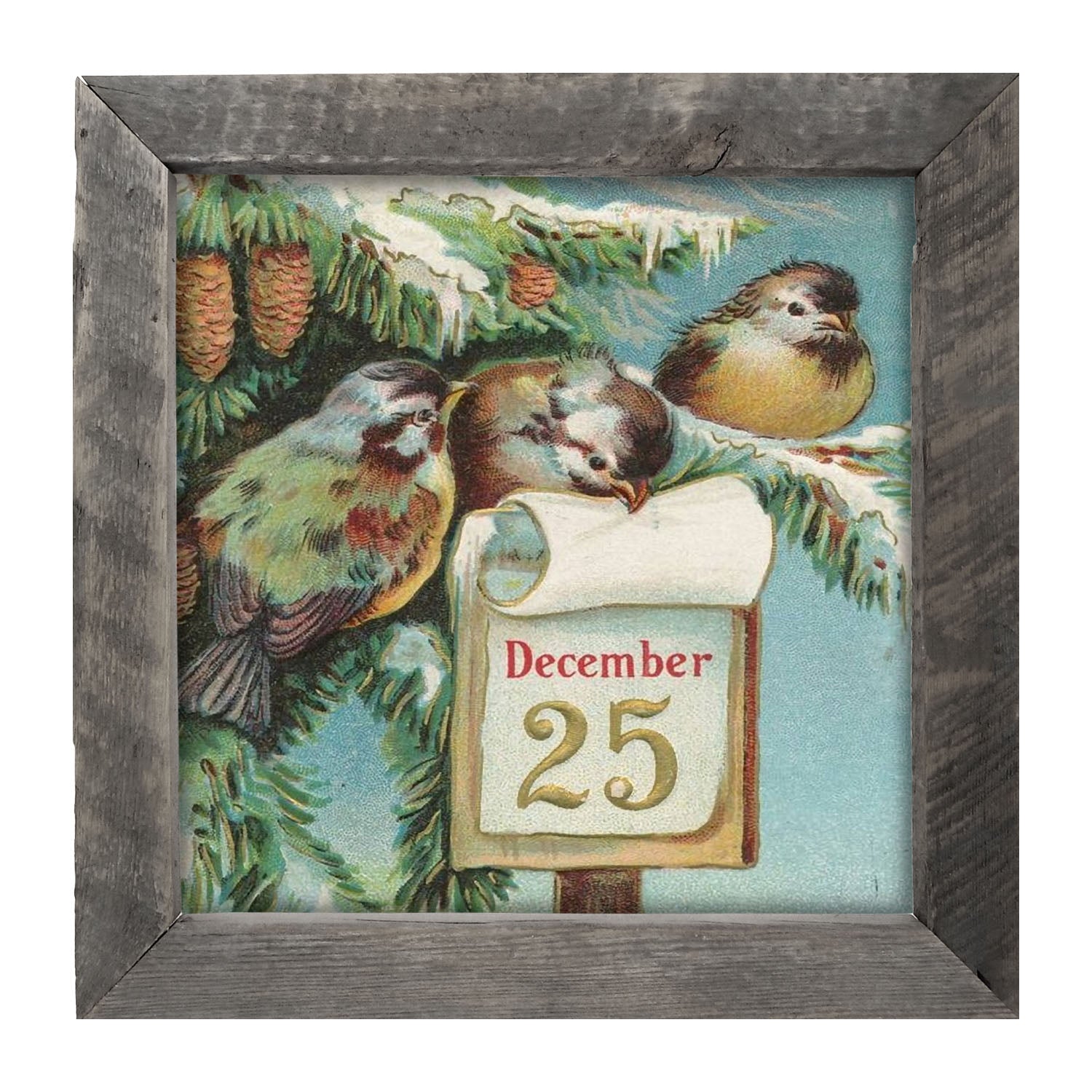 Dec 25 Birds - Framed art