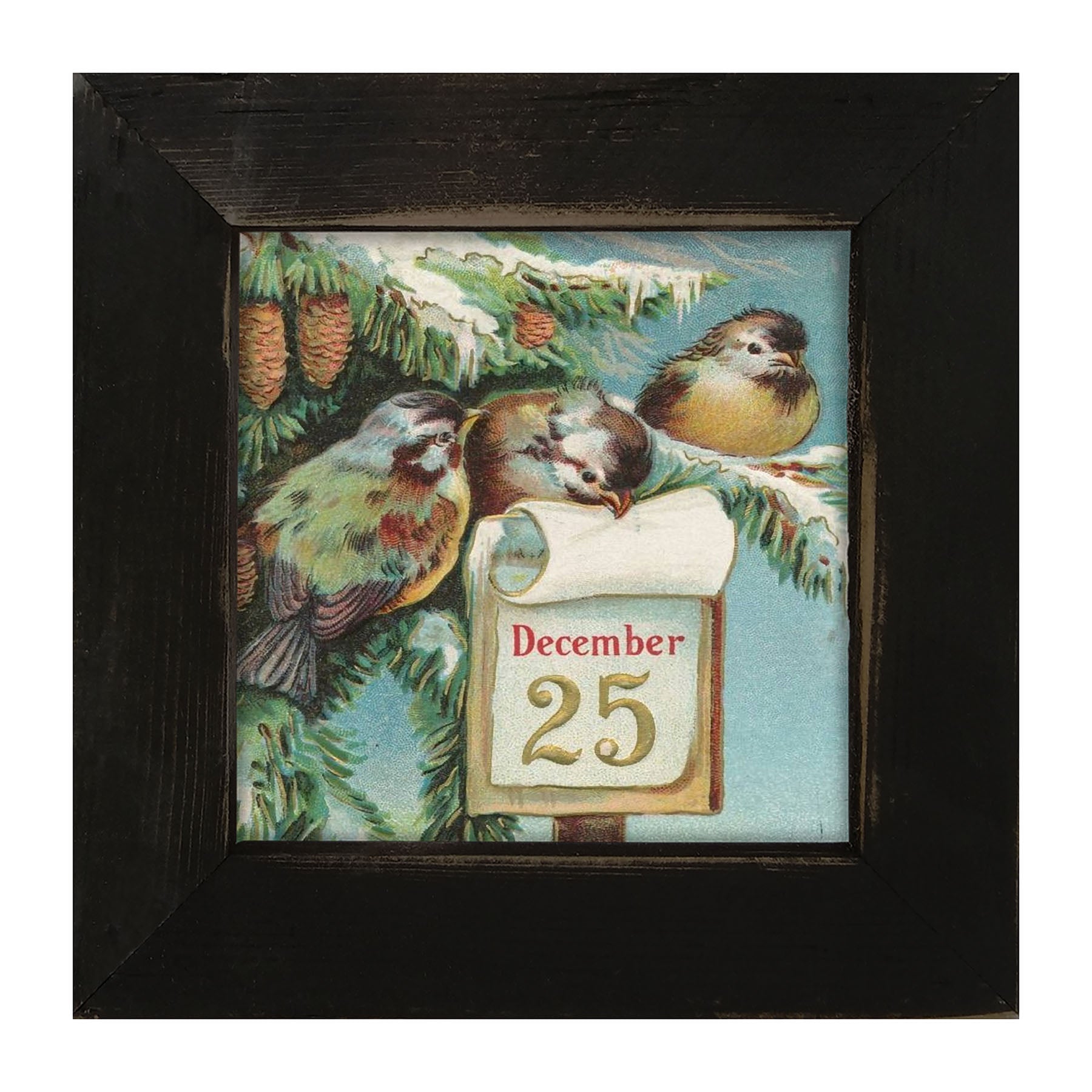 Dec 25 Birds - Framed art