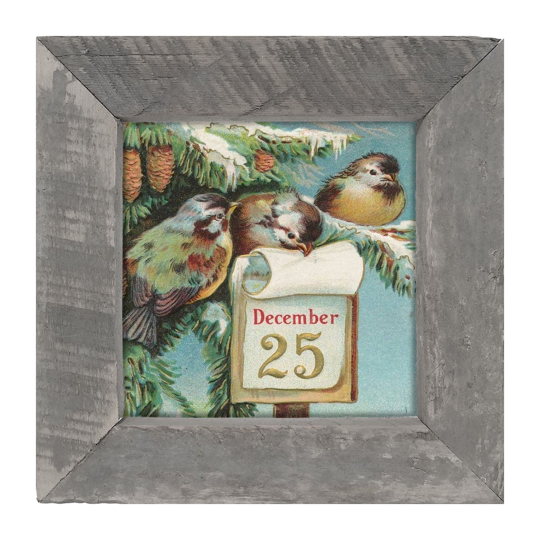 Dec 25 Birds - Framed art