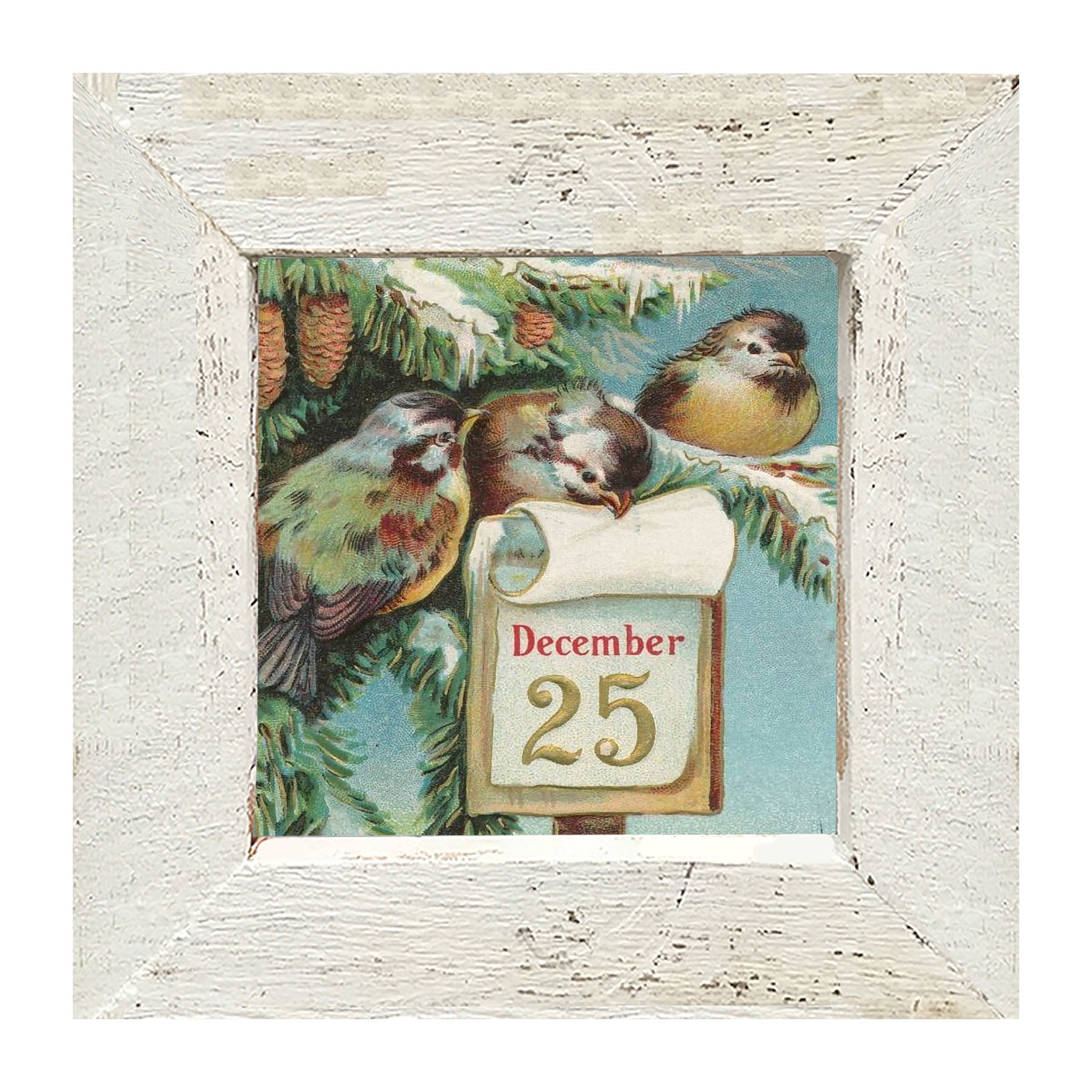 Dec 25 Birds - Framed art