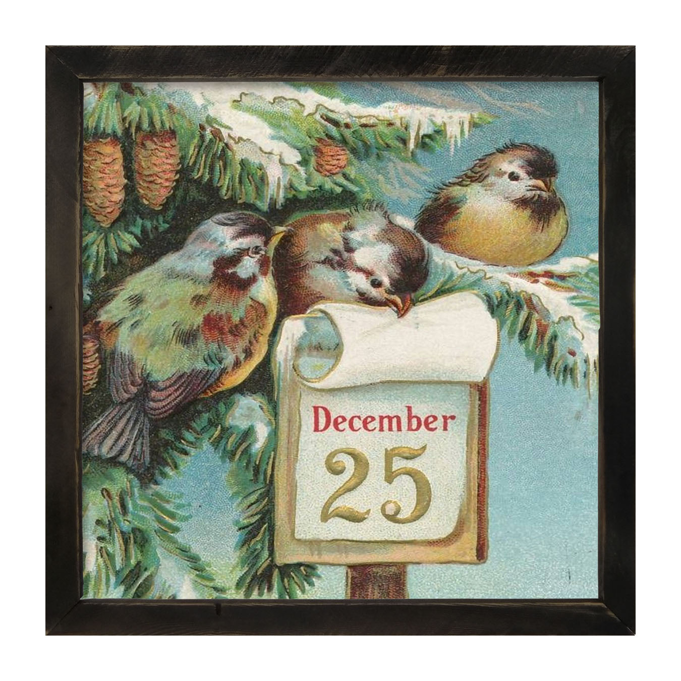 Dec 25 Birds - Framed art