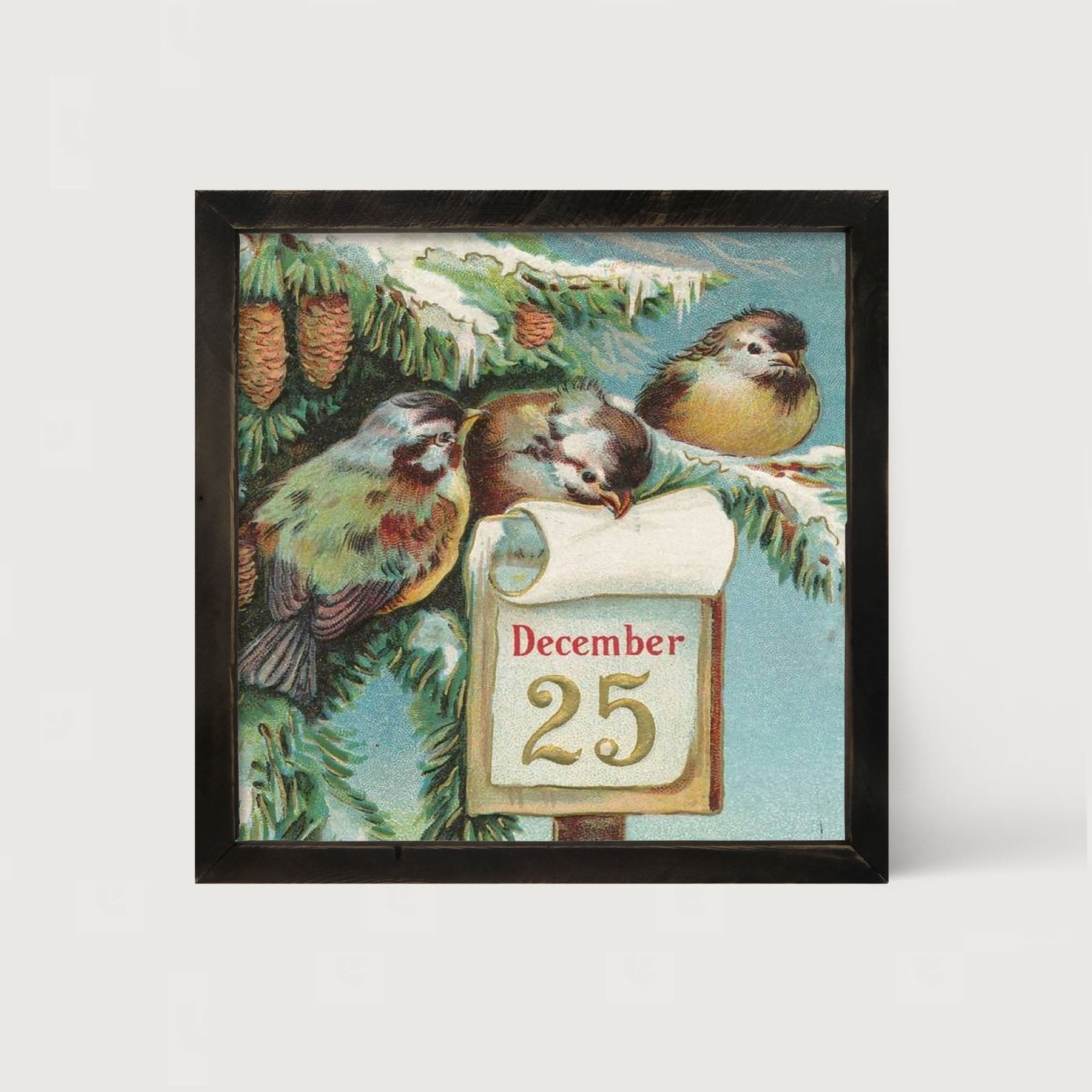 Dec 25 Birds - Framed art