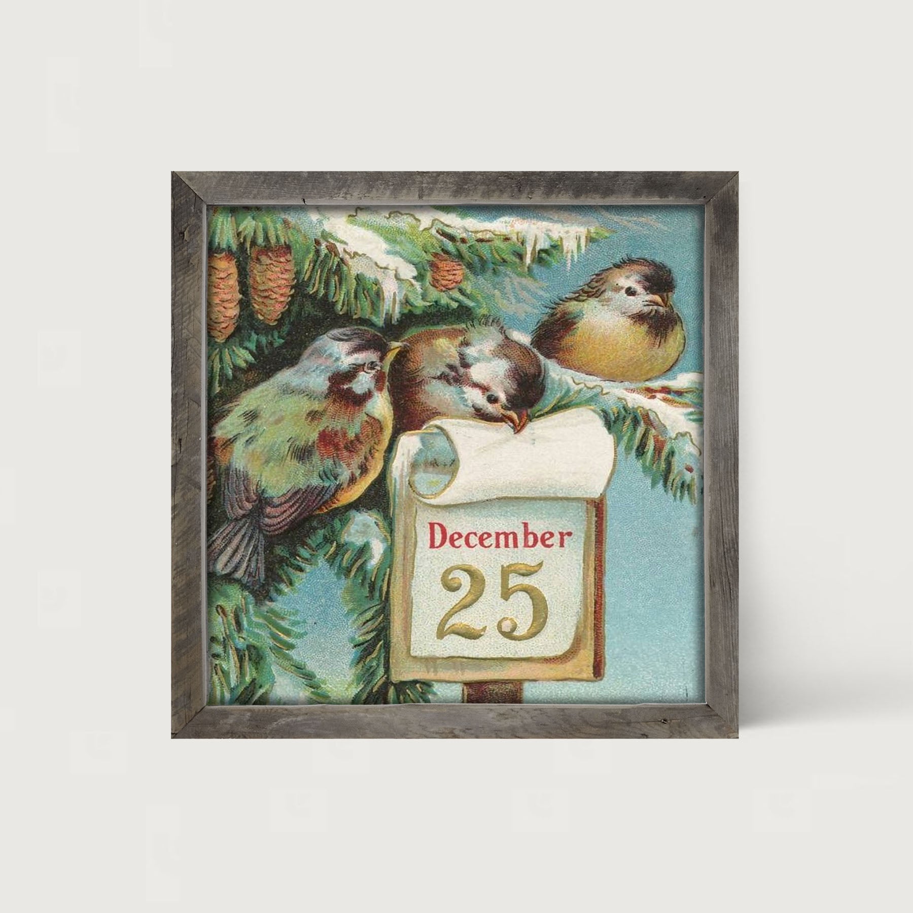 Dec 25 Birds - Framed art