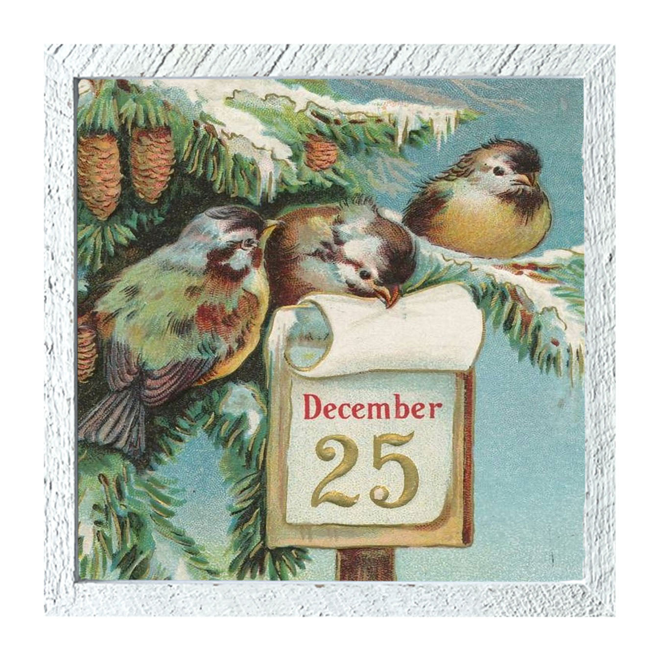 Dec 25 Birds - Framed art