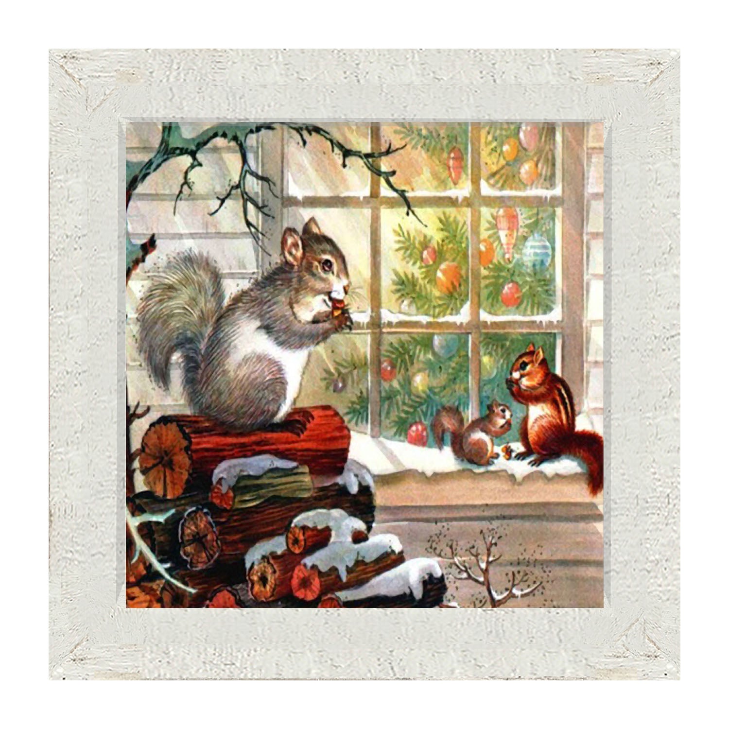 Squirrel at window - Framed art