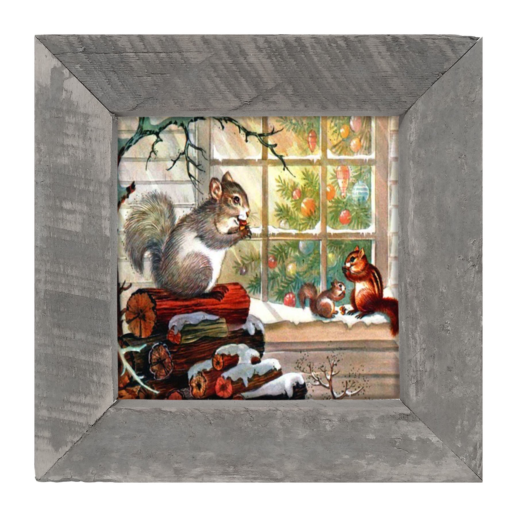 Squirrel at window - Framed art