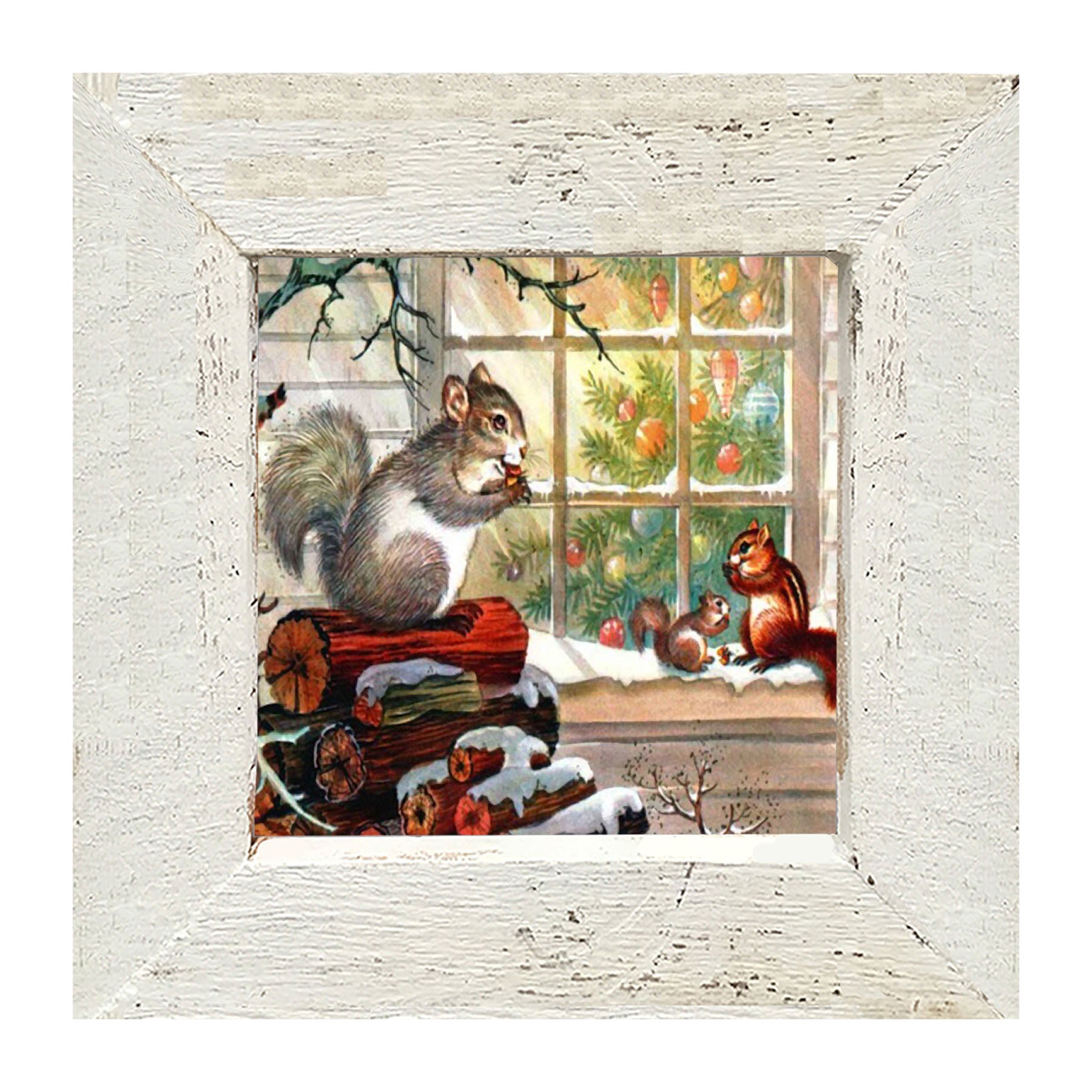 Squirrel at window - Framed art