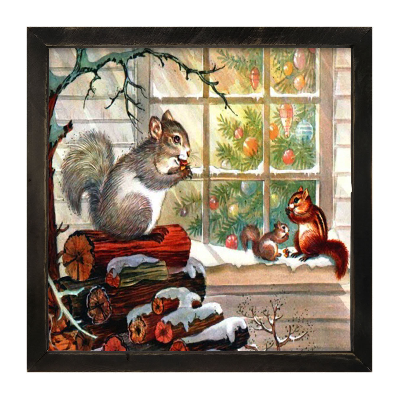 Squirrel at window - Framed art