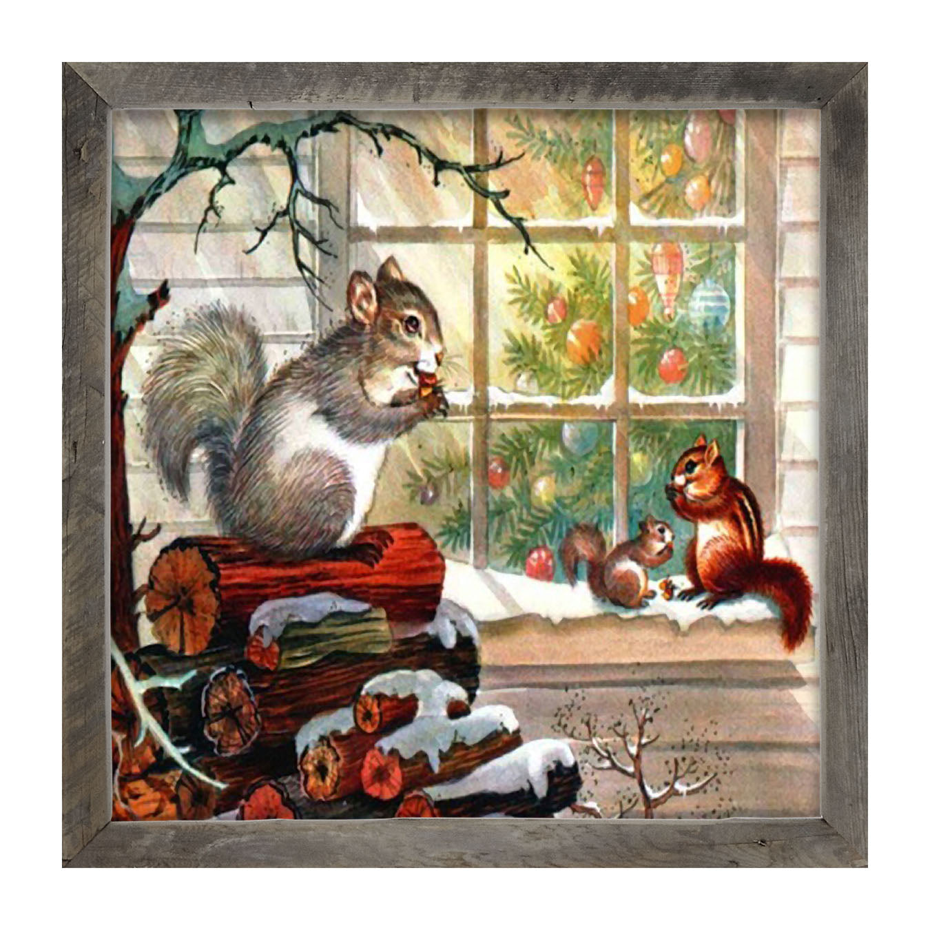 Squirrel at window - Framed art