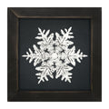 Framed Art