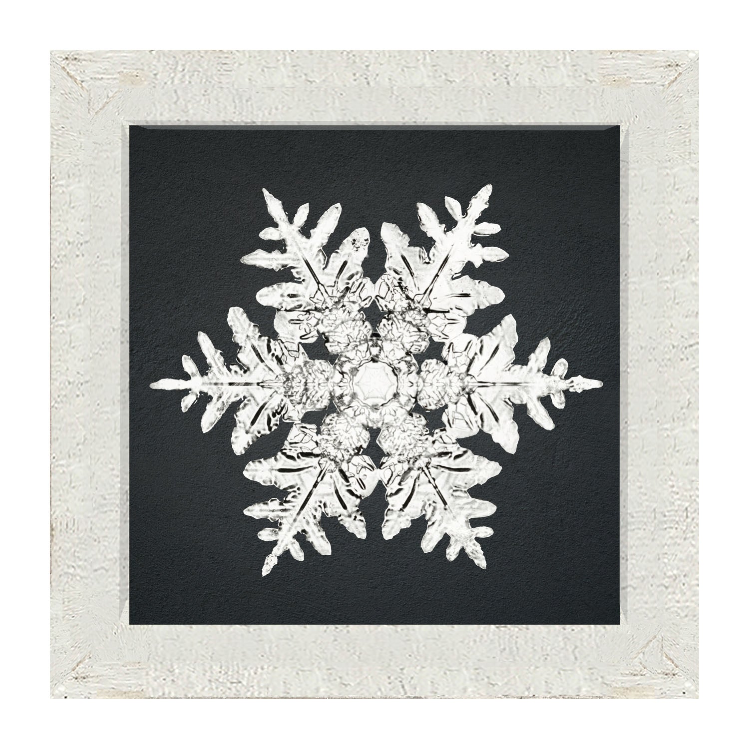 Snowflake-A - Framed art