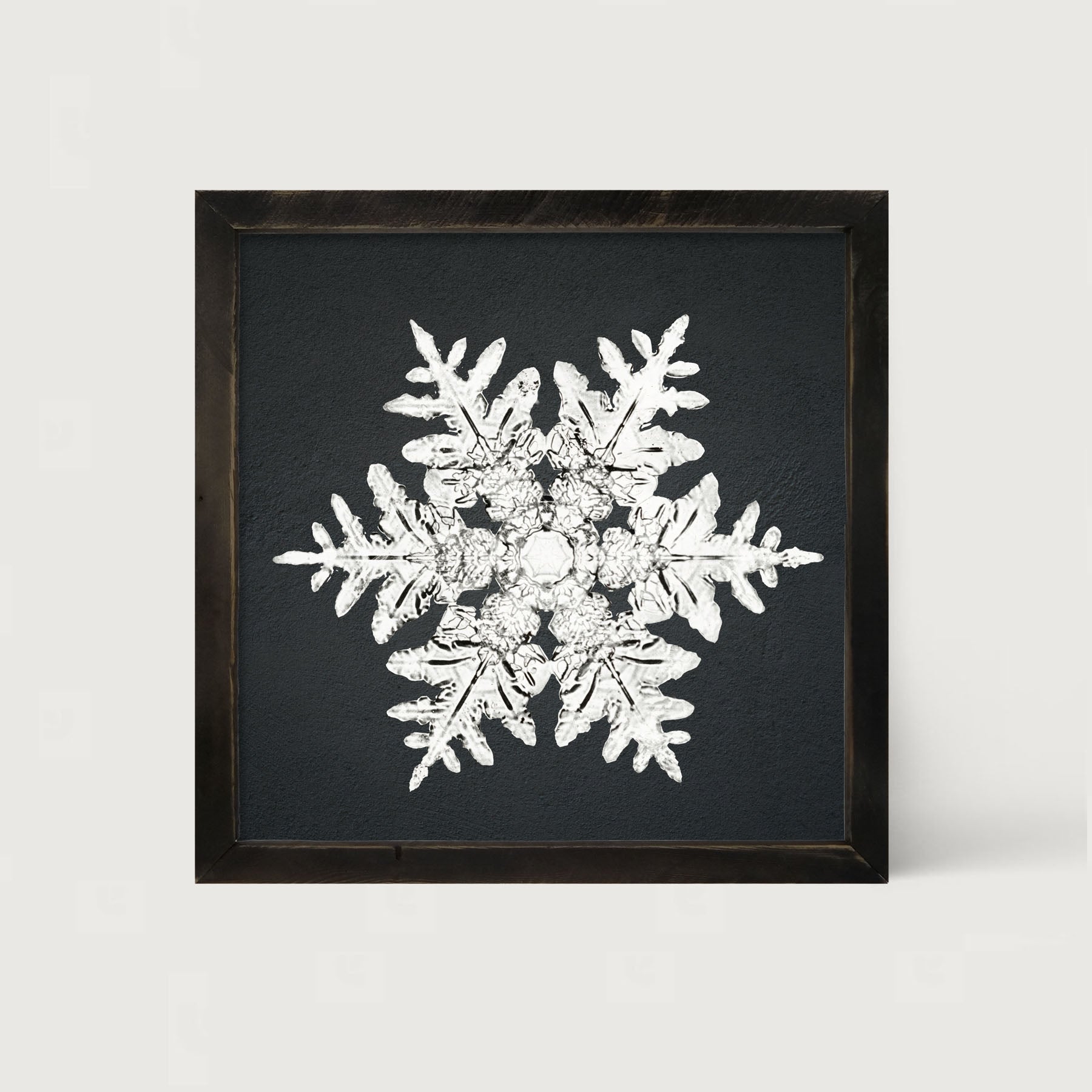Snowflake-A - Framed art