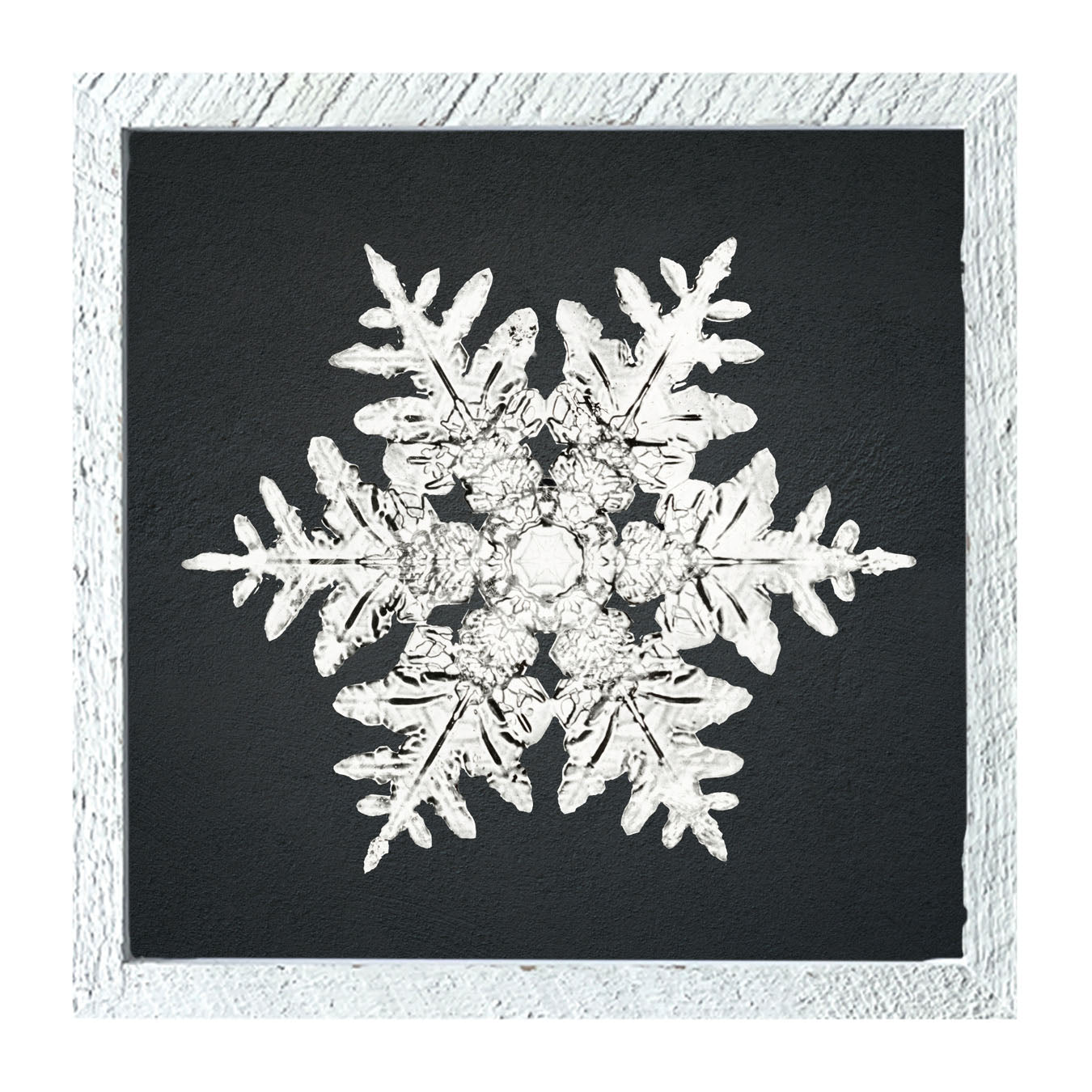 Snowflake-A - Framed art