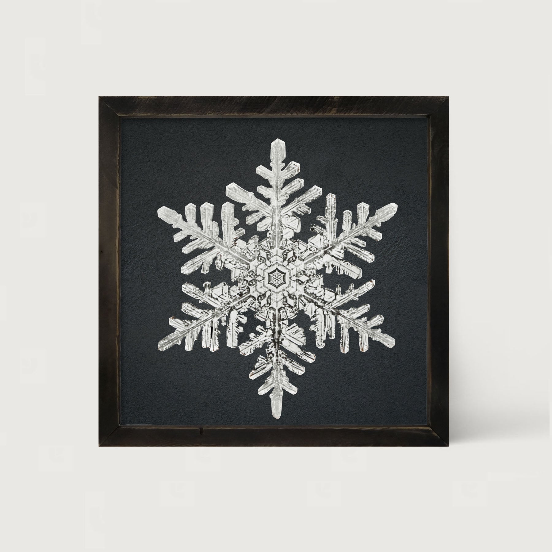 Snowflake-B - Framed art
