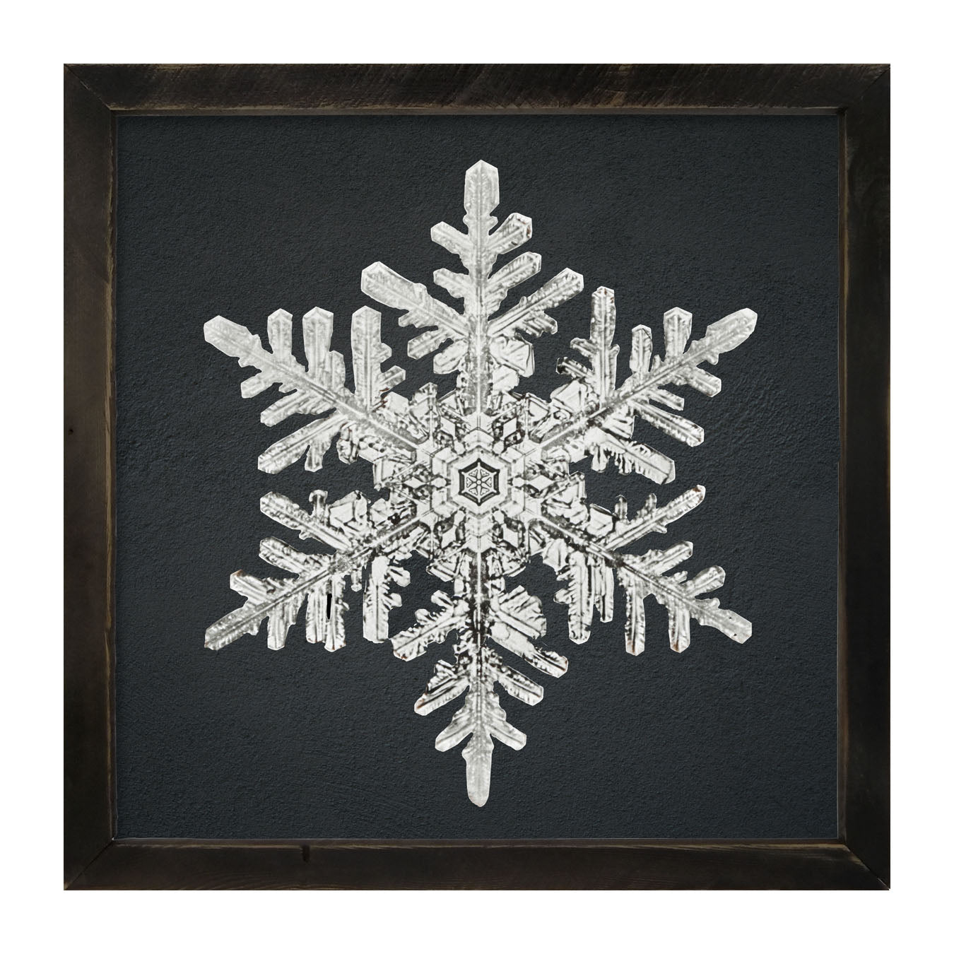Snowflake-B - Framed art