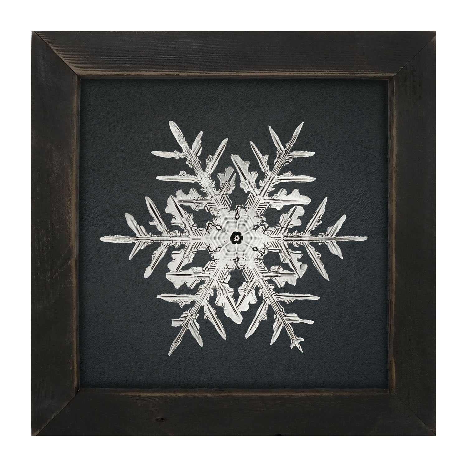 Snowflake-C - Framed art