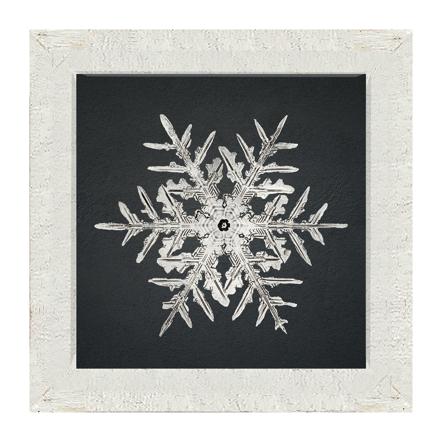 Snowflake-C - Framed art