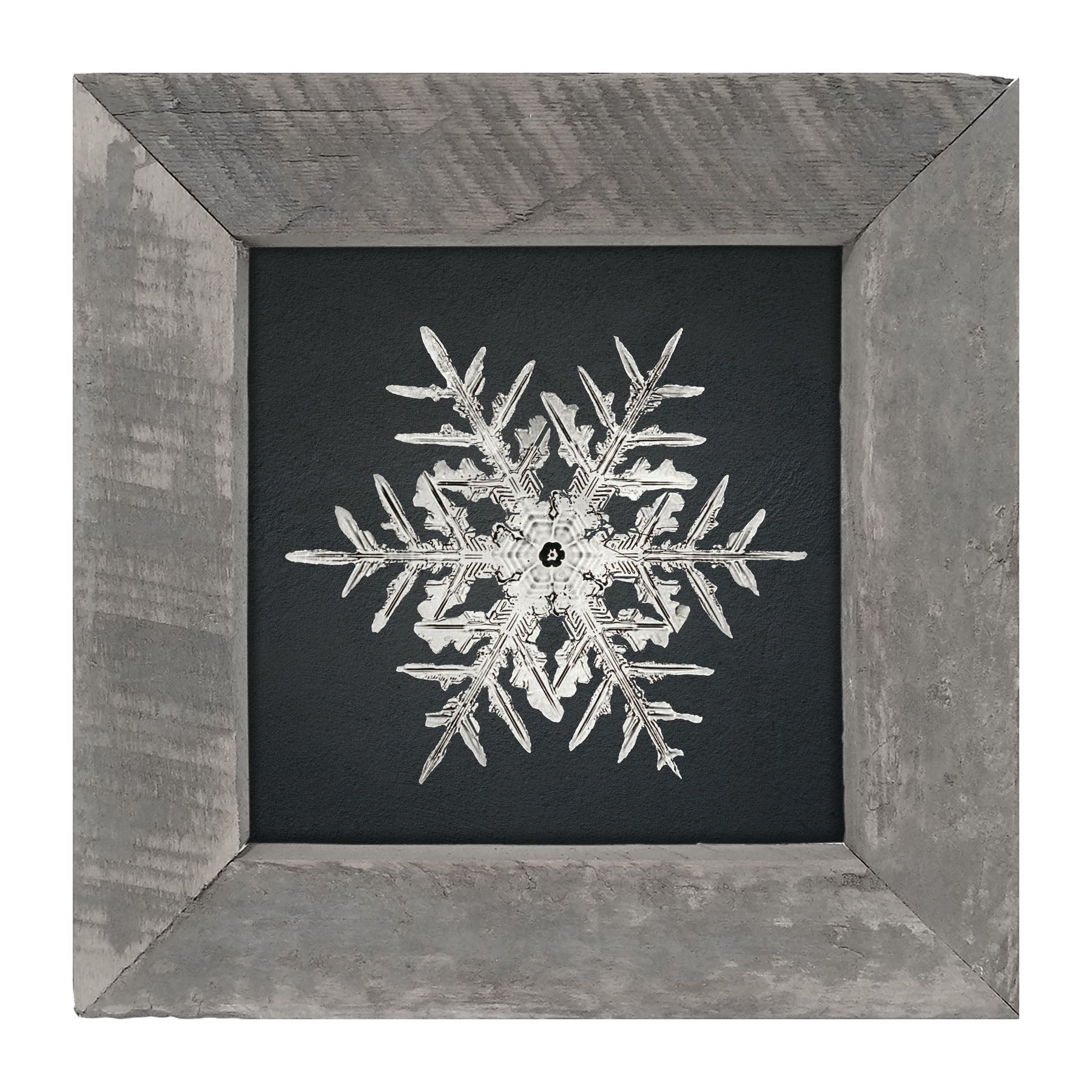 Snowflake-C - Framed art