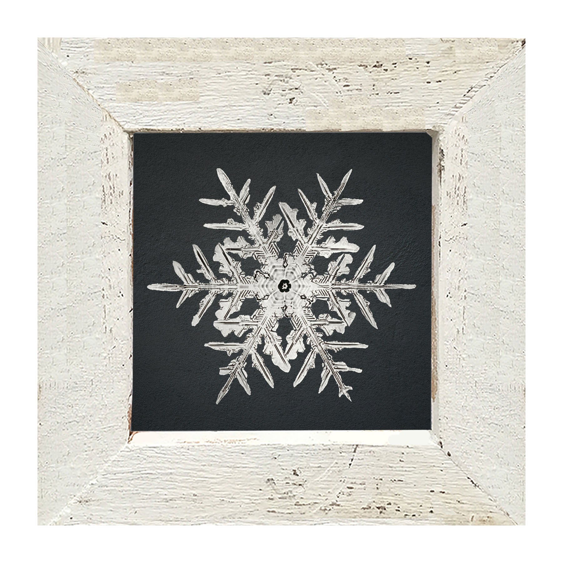Snowflake-C - Framed art