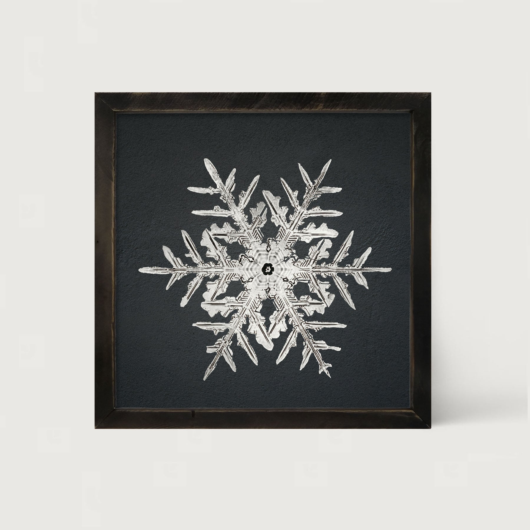 Snowflake-C - Framed art