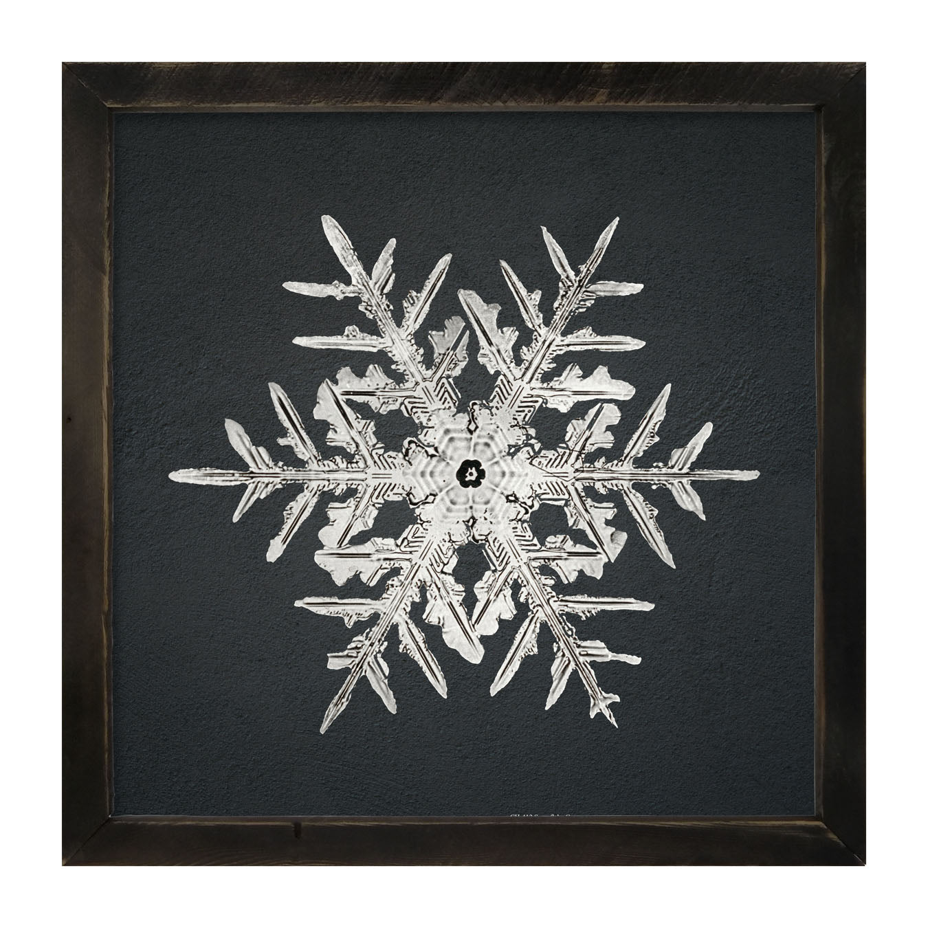 Snowflake-C - Framed art