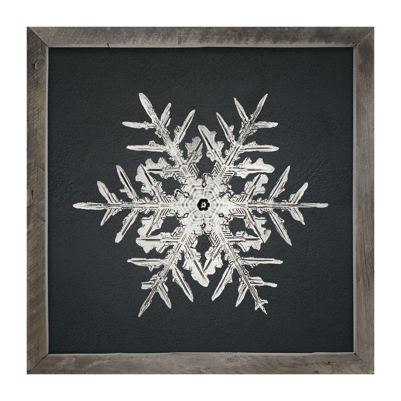 Snowflake-C - Framed art