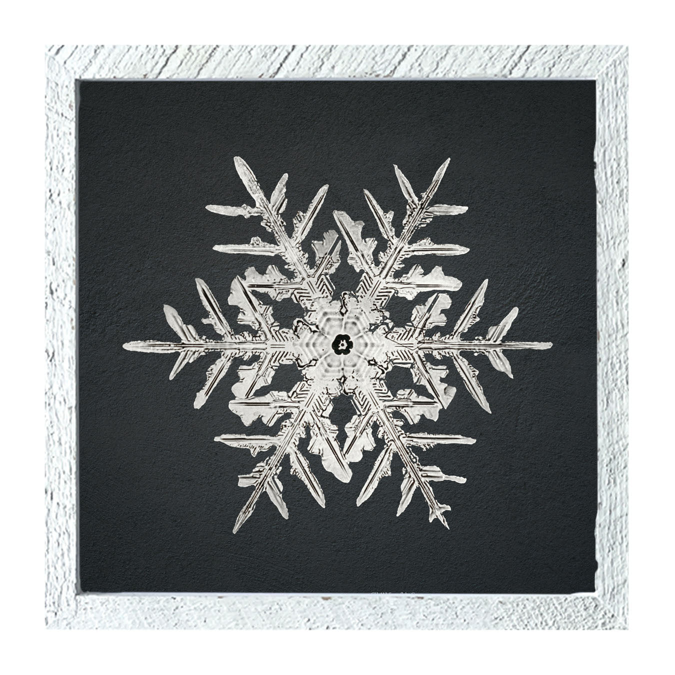 Snowflake-C - Framed art