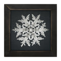 Framed Art