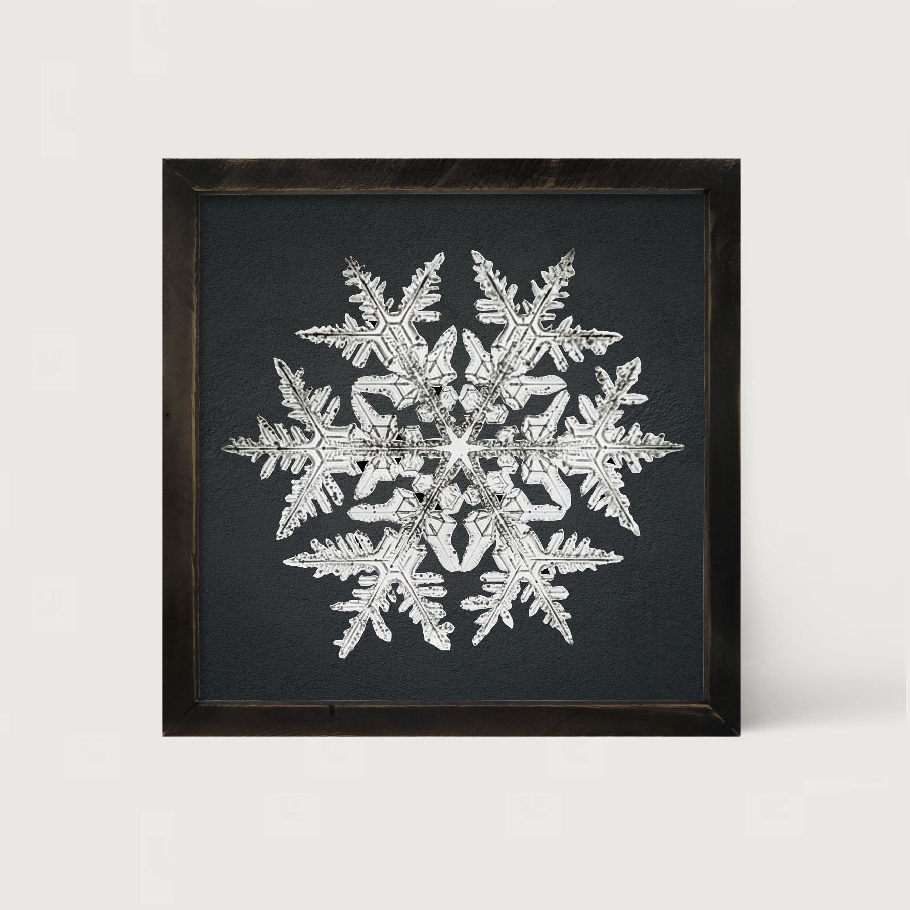 Snowflake-D - Framed art