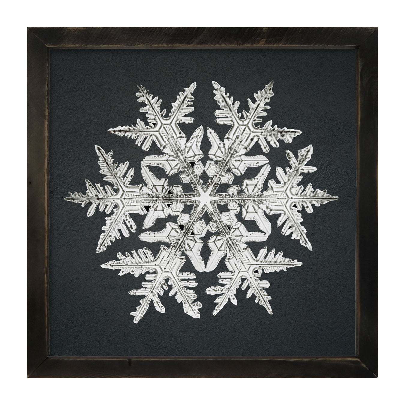 Snowflake-D - Framed art