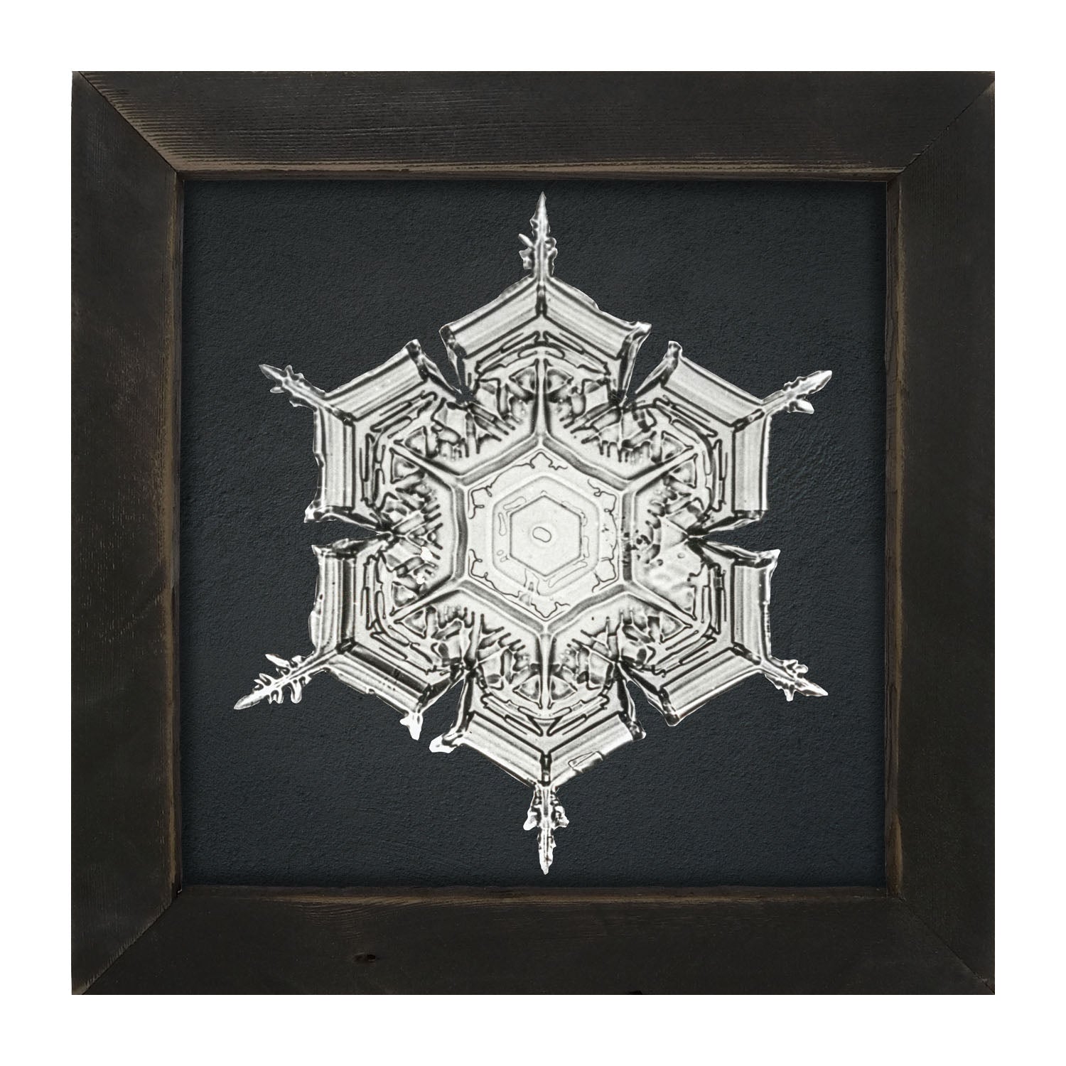 Snowflake-E - Framed art