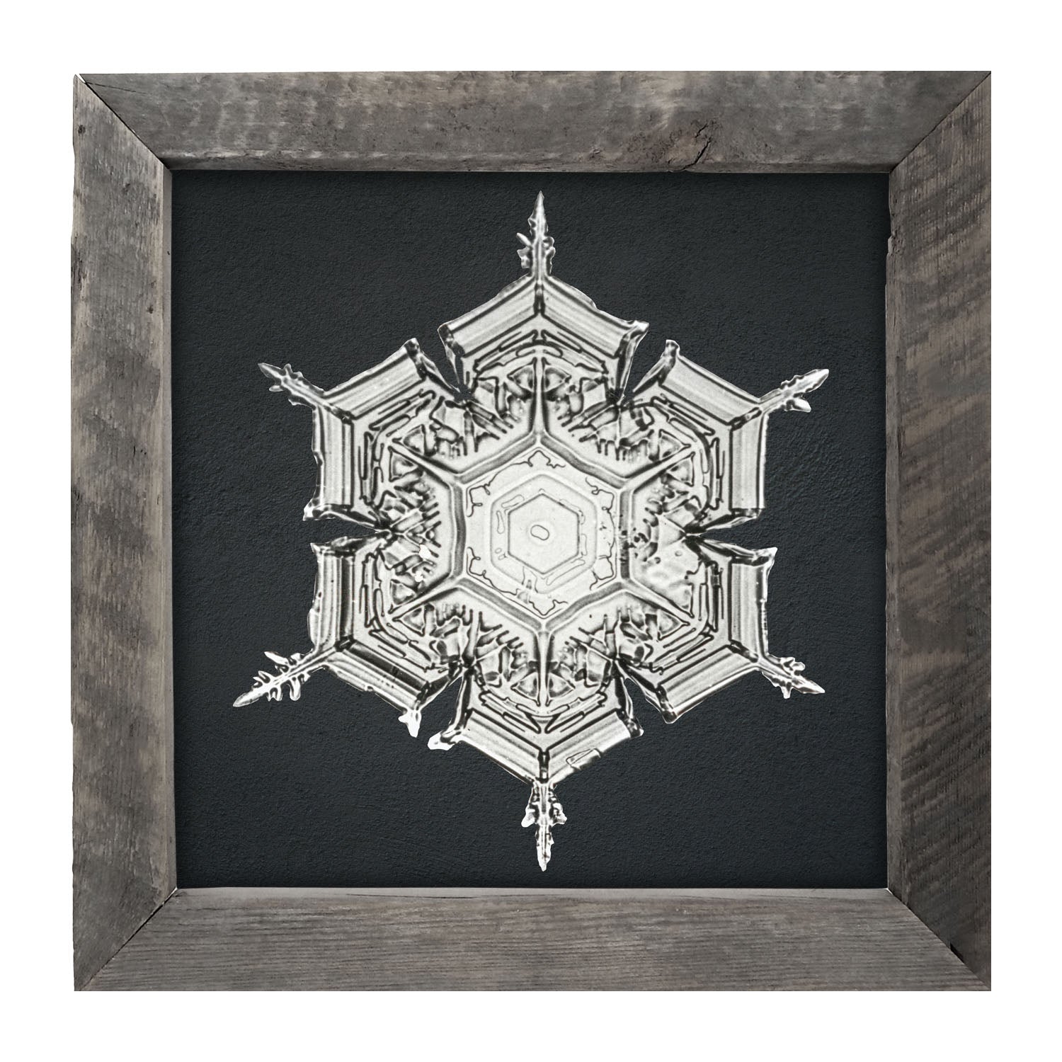 Snowflake-E - Framed art