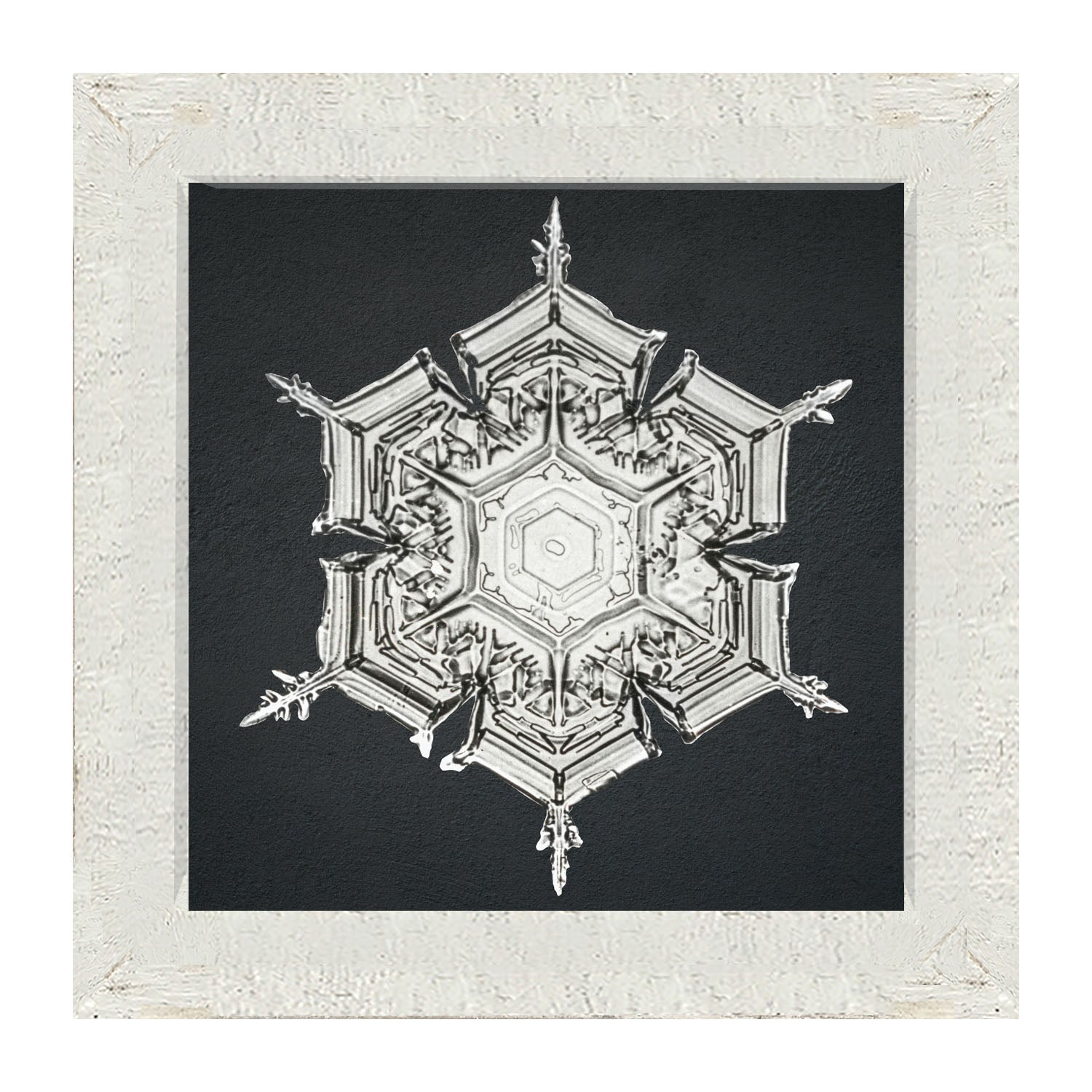 Snowflake-E - Framed art