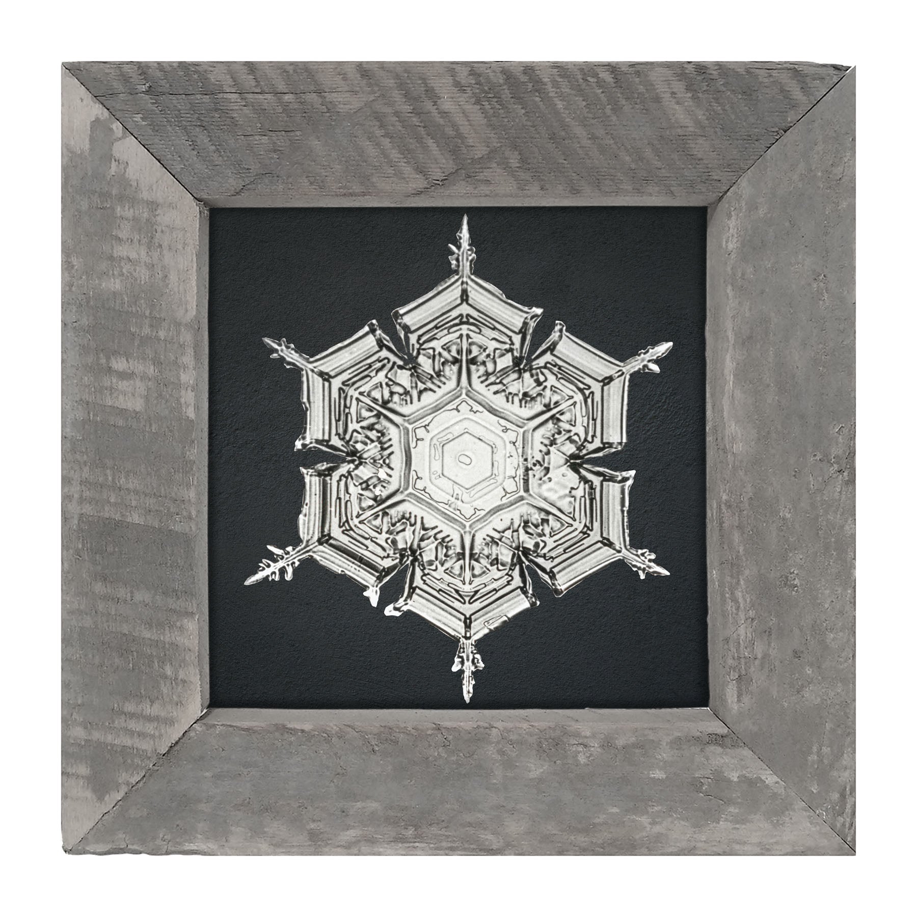 Snowflake-E - Framed art