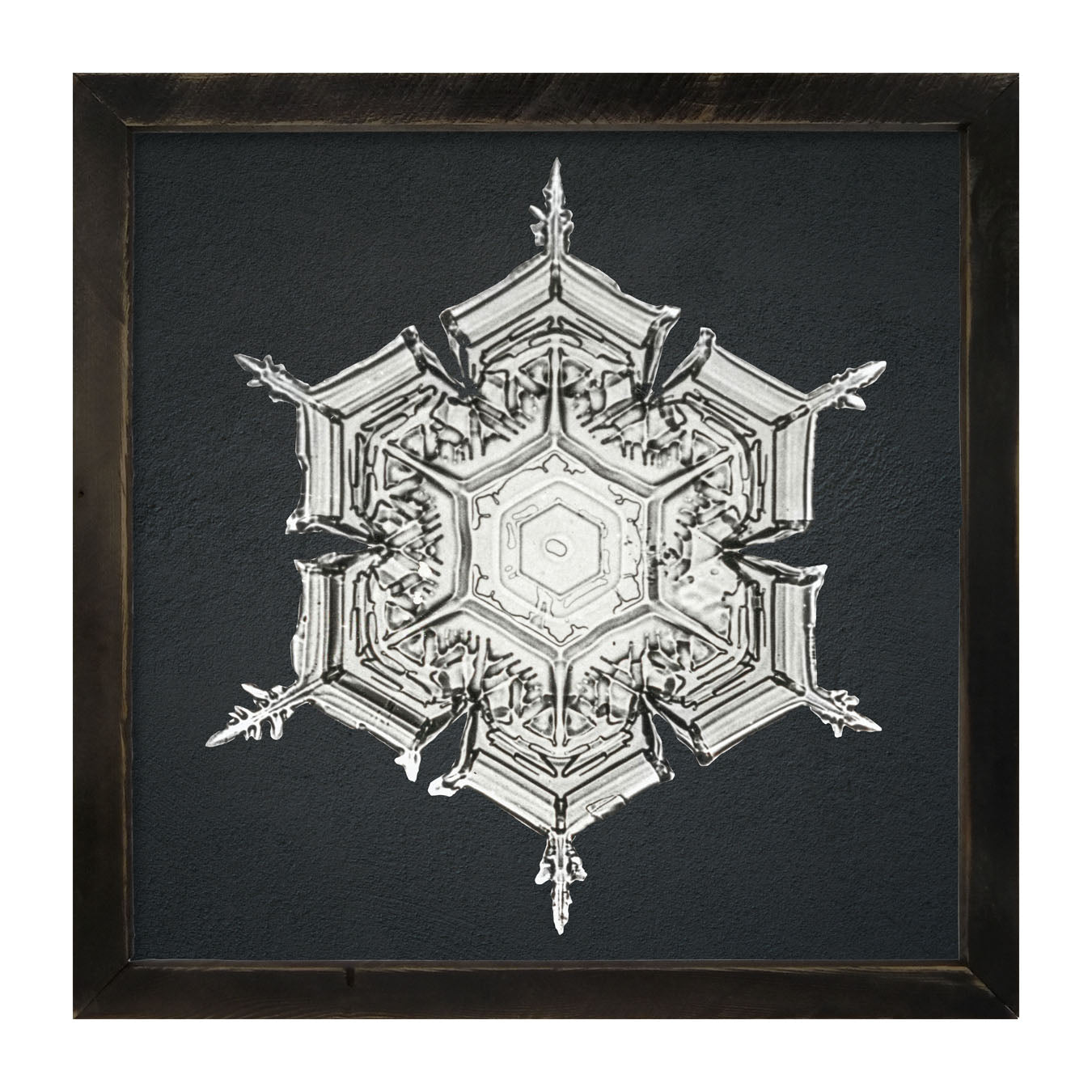 Snowflake-E - Framed art