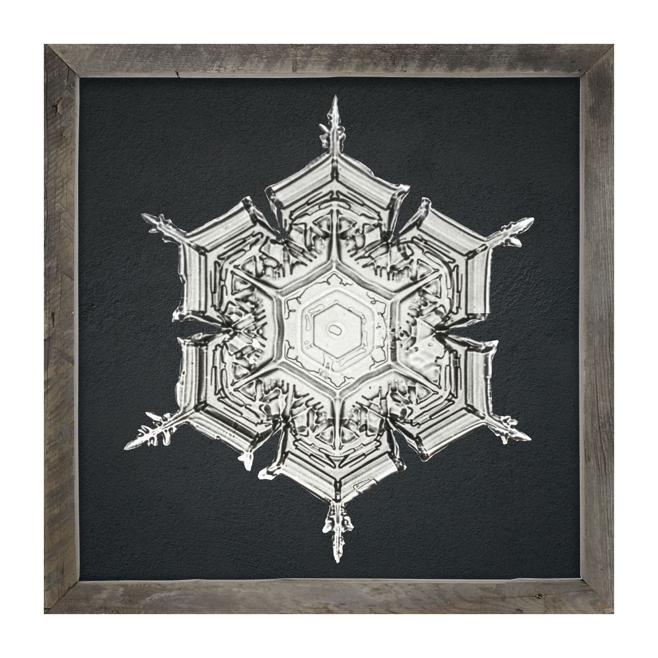 Snowflake-E - Framed art