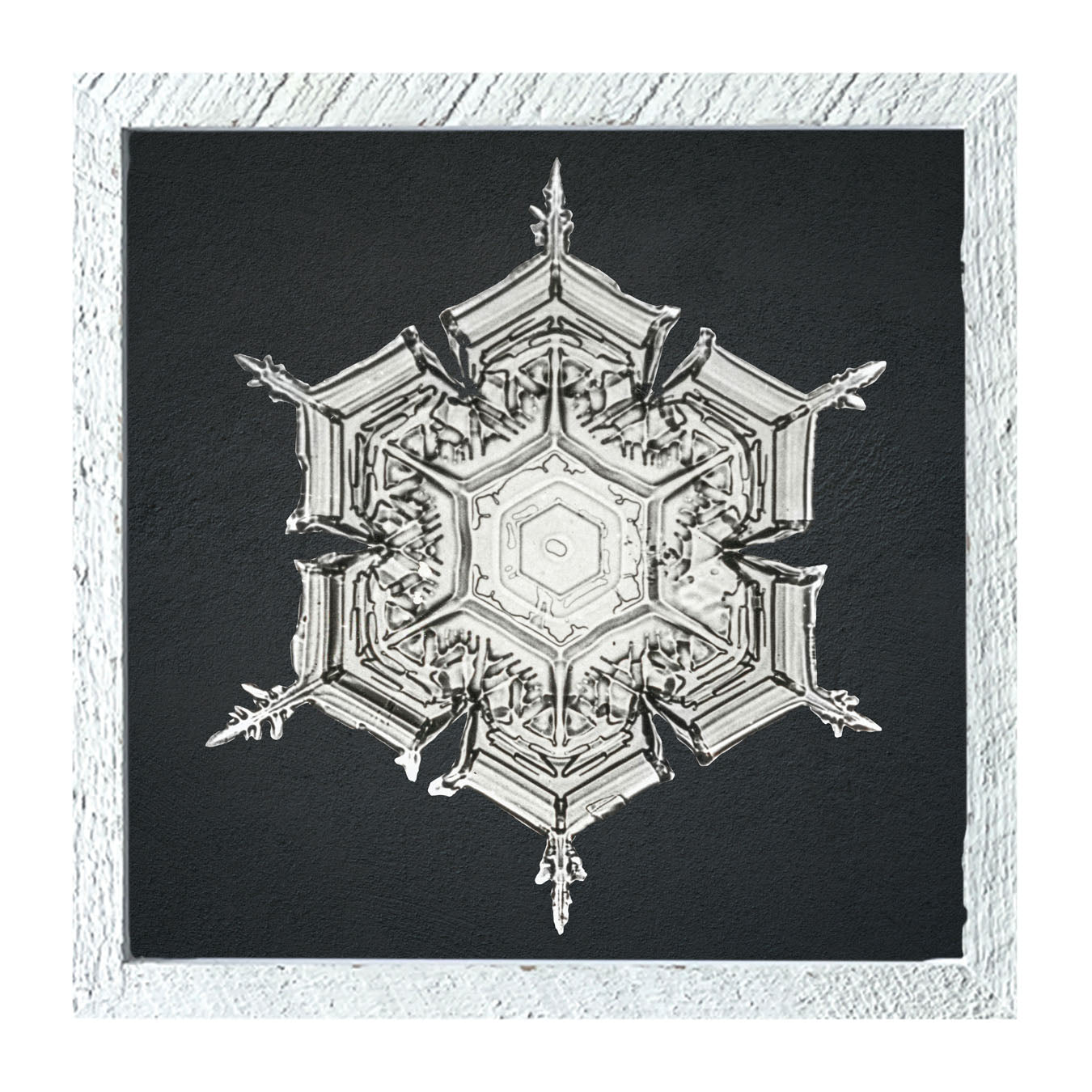 Snowflake-E - Framed art