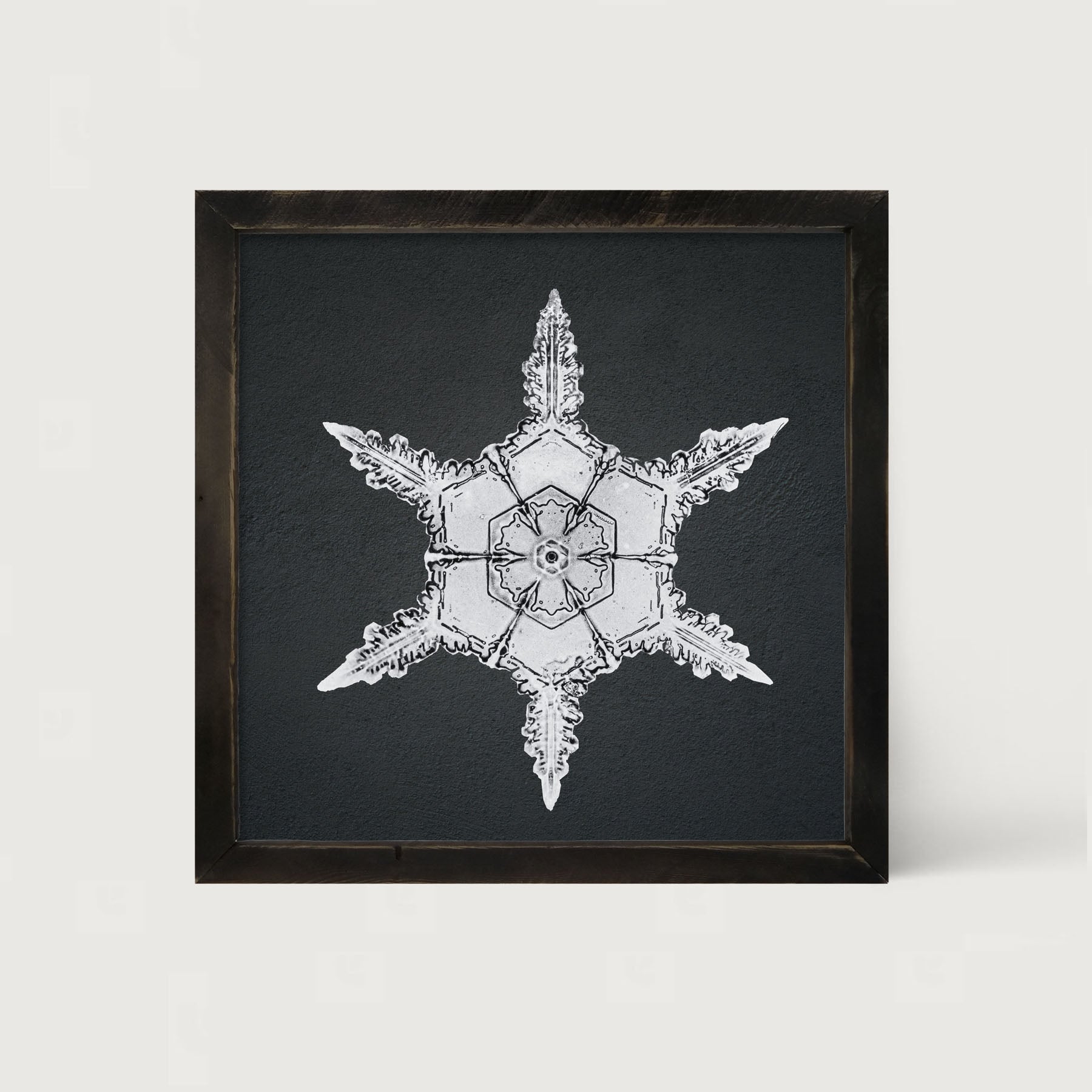 Snowflake-F - Framed art