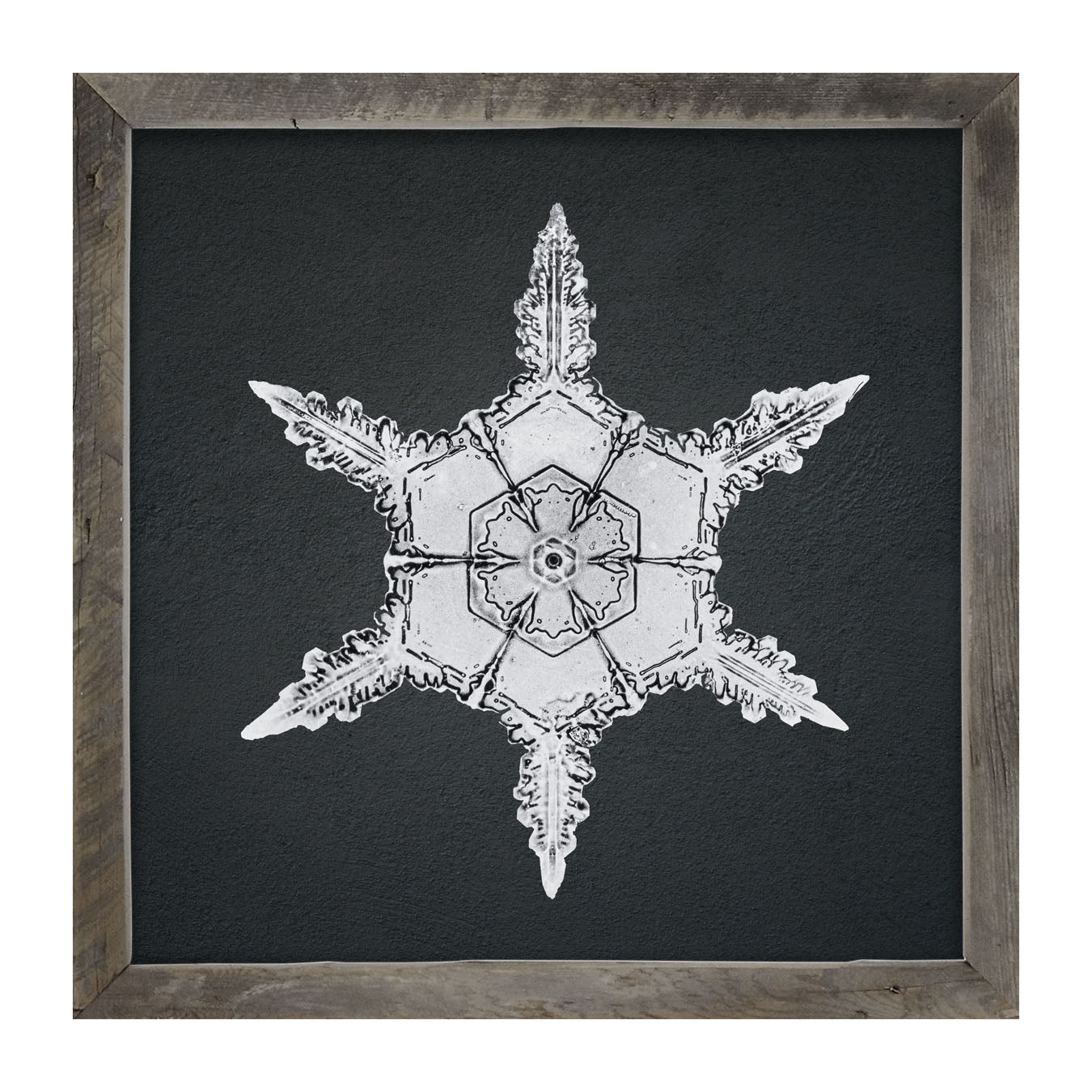 Snowflake-F - Framed art