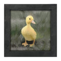 Framed Art