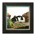 Framed Art