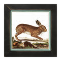 Framed Art