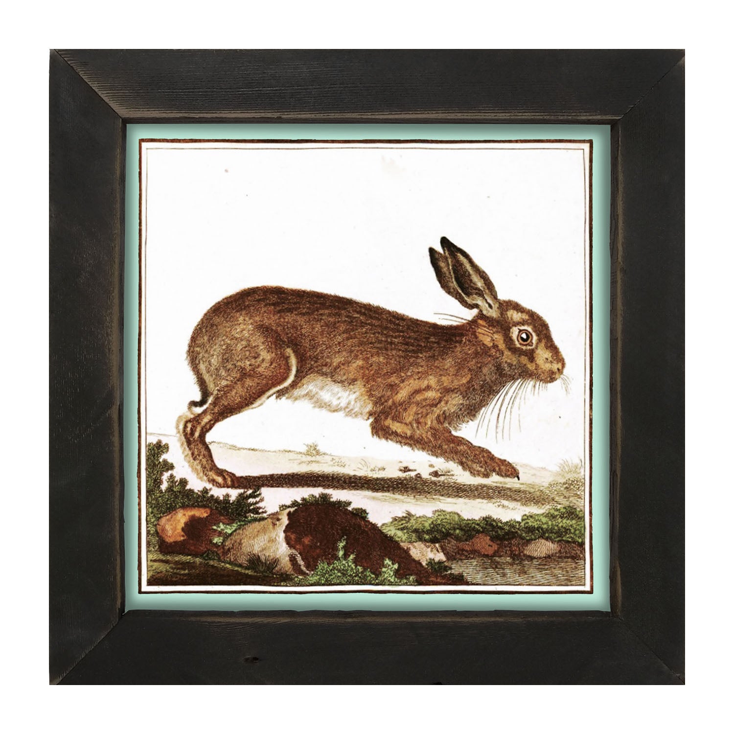 Vintage Brown Bunny - Framed art
