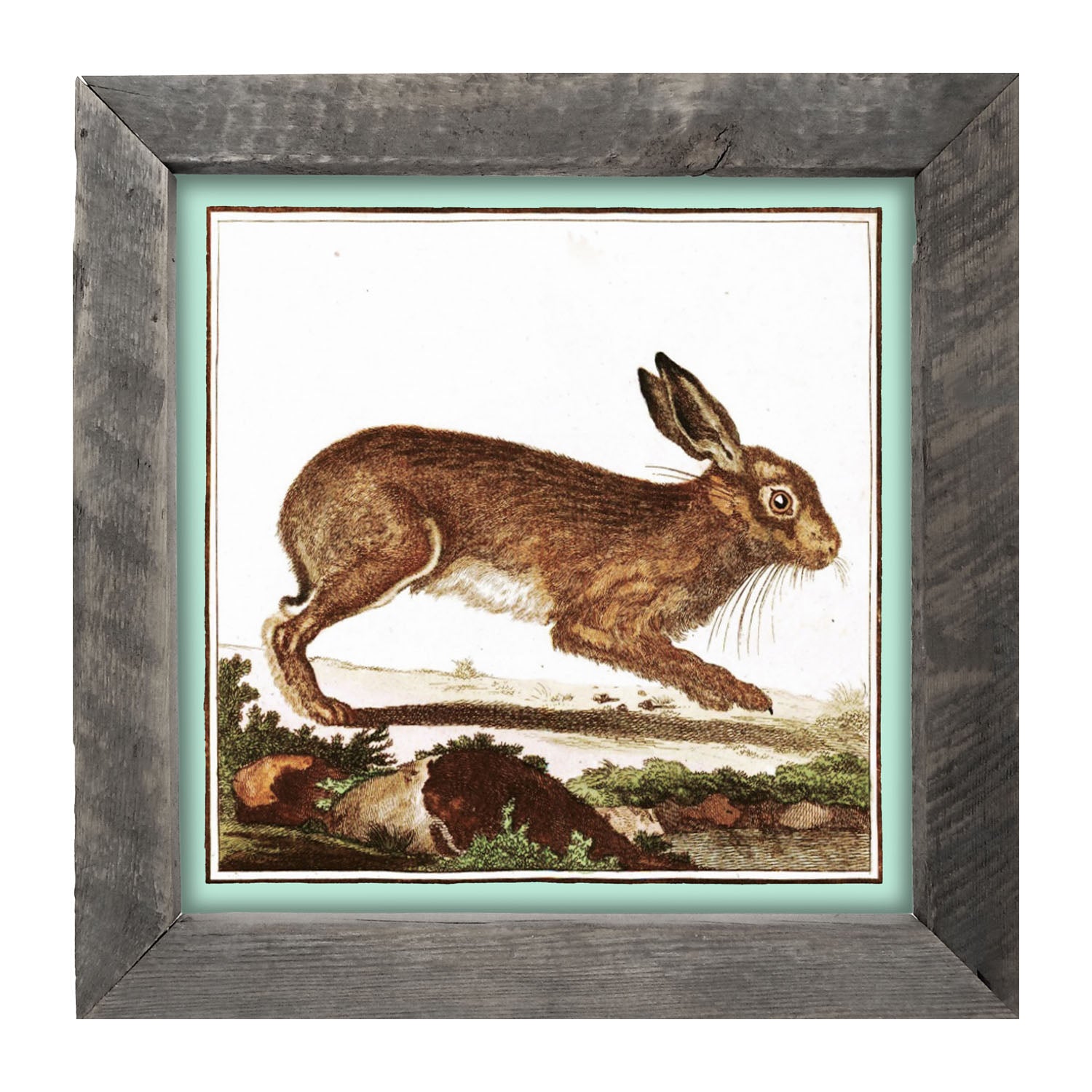 Vintage Brown Bunny - Framed art