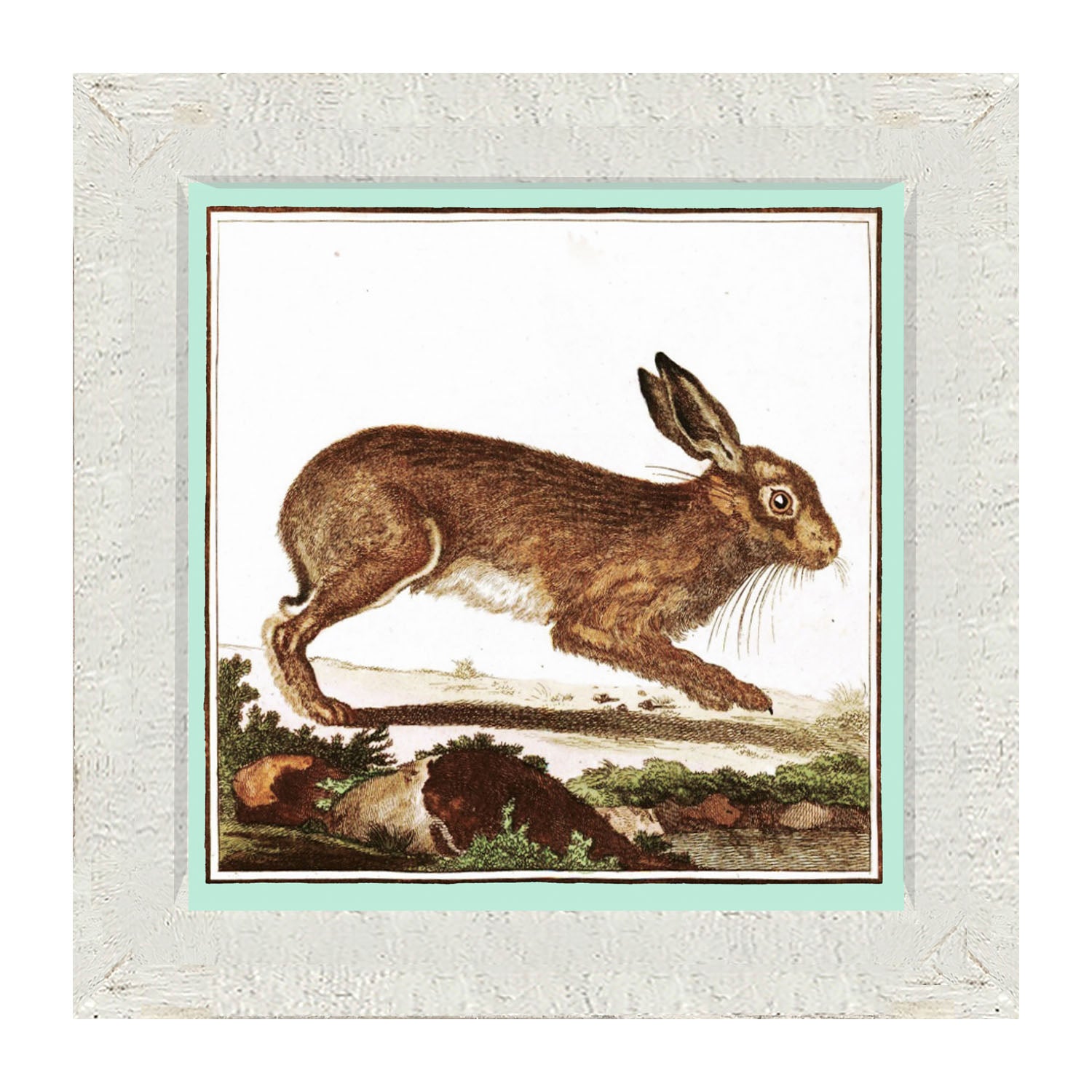 Vintage Brown Bunny - Framed art